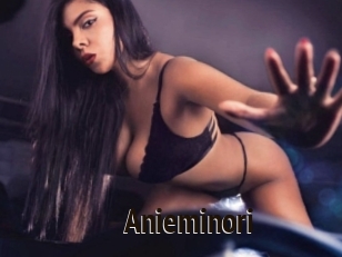 Anieminori