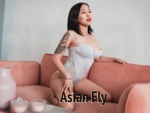 Asian_Fly