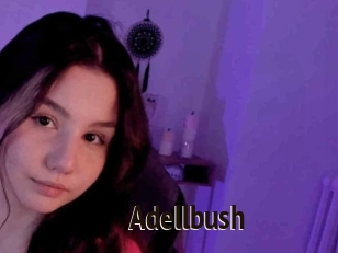 Adellbush
