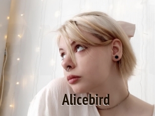 Alicebird