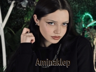 Aminaklep