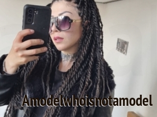 Amodelwhoisnotamodel