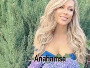 anahamsa Amatrice Blog