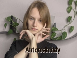 Antoniabiddy