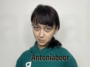 Antoniaboor