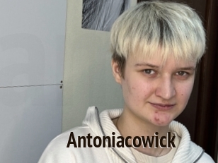 Antoniacowick