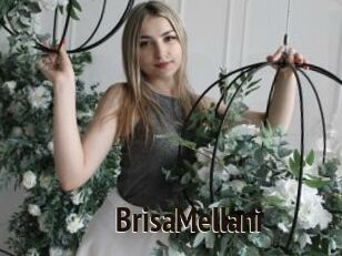 BrisaMellani
