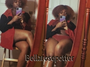 Bellarosepotter