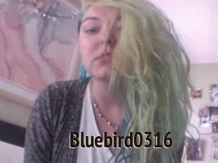 Bluebird0316