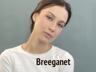 Breeganet