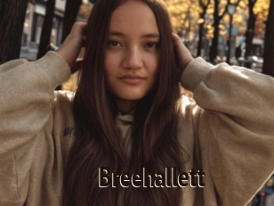 Breehallett