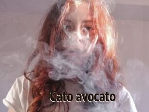 Cato_avocato