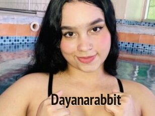 Dayanarabbit