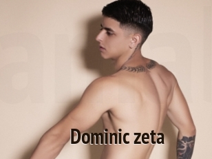 Dominic_zeta