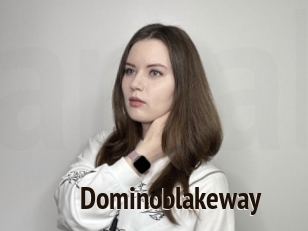 Dominoblakeway
