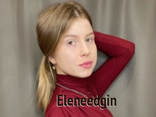Eleneedgin