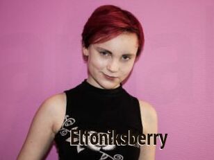 Elfoniksberry