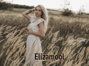 Elizamool