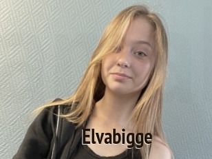 Elvabigge
