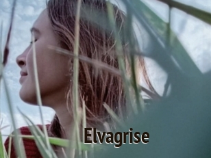 Elvagrise