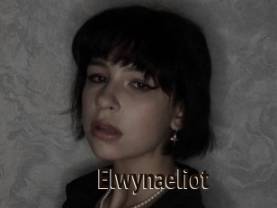 Elwynaeliot