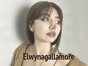 Elwynagallamore