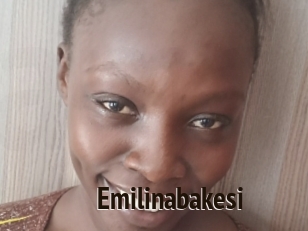 Emilinabakesi