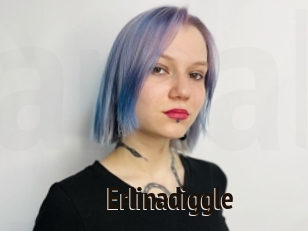 Erlinadiggle