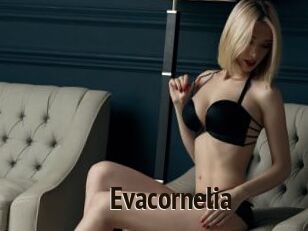 Evacornelia
