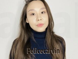 Felicecarvin