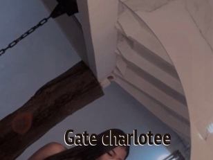 Gate_charlotee