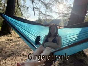 Gingerchronic