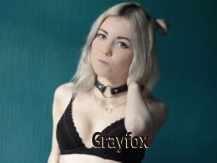 Grayfox