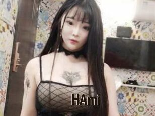 HAmi
