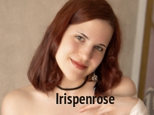 irispenrose Amatrice Blog