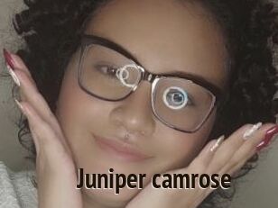 Juniper_camrose