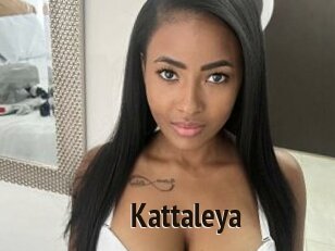 Kattaleya