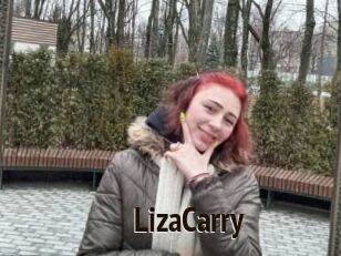 LizaCarry