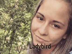 Ladybird