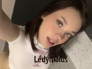 Ledymalus