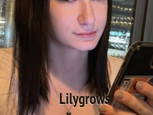 Lilygrows
