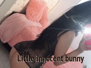 Little_innocent_bunny