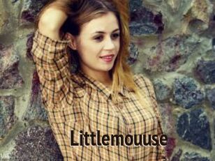 Littlemouuse