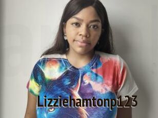Lizziehamtonp123