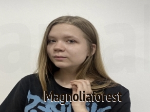 Magnoliaforest