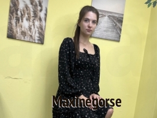 Maxinegorse