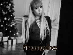 Megangodnes