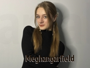 Meghangarfield