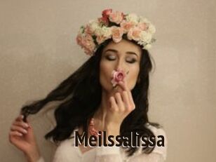 Meilssalissa