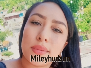 Mileyhudson